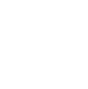 icon-0